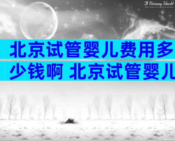 北京试管婴儿费用多少钱啊 北京试管婴儿费用大约多少